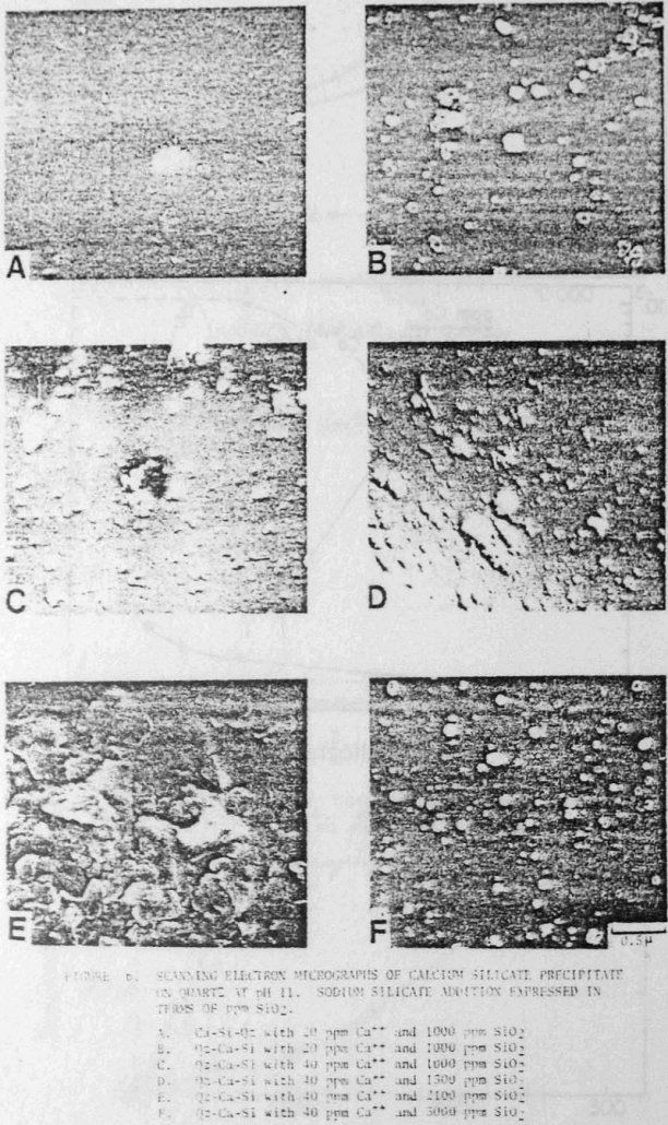 selective flocculation micrographs