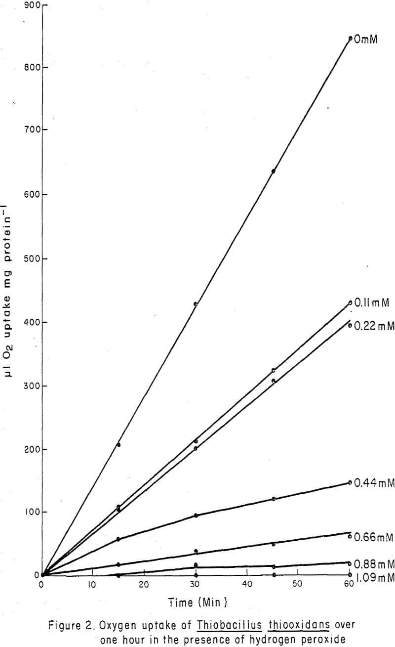 effect-of-hydrogen-peroxide oxygen uptake