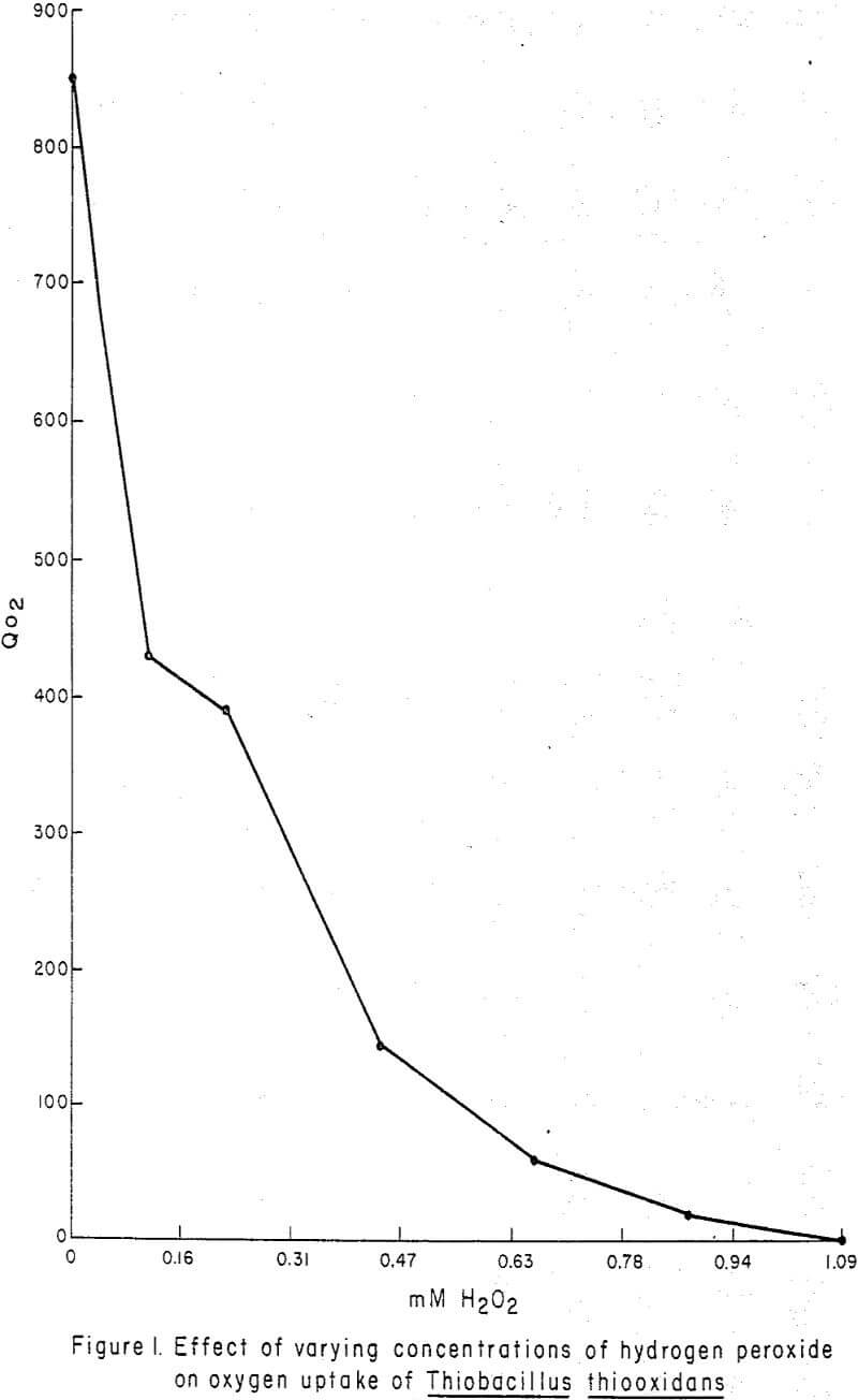 effect-of-hydrogen-peroxide varying concentrate