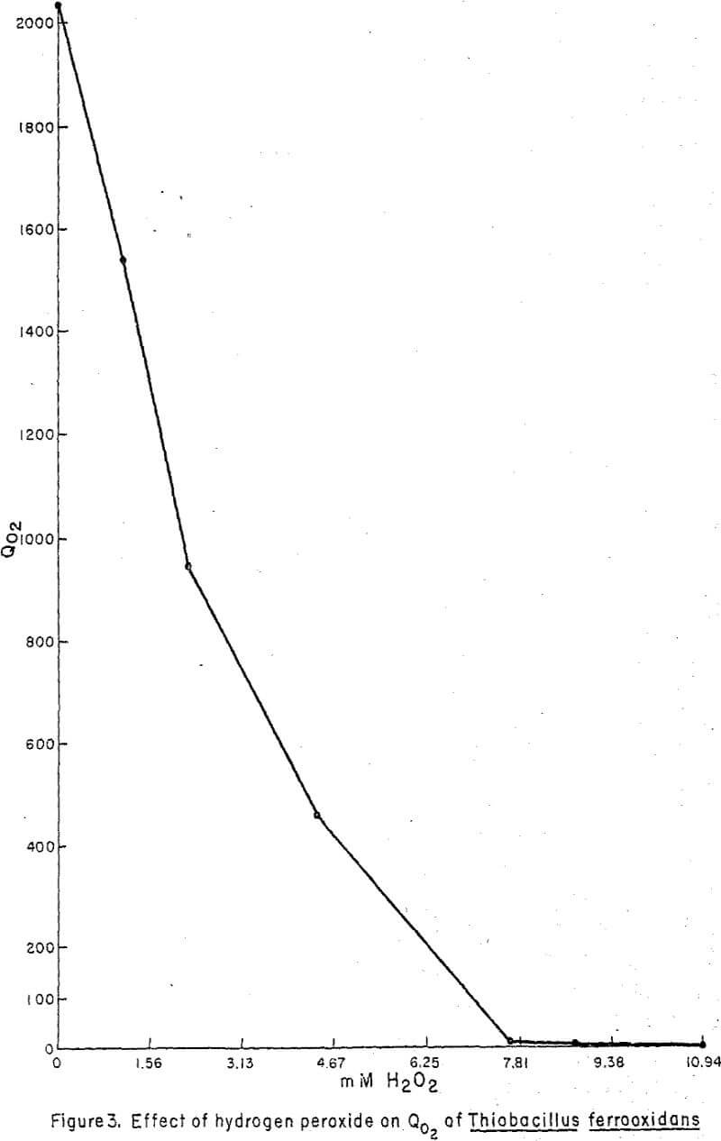 effect of hydrogen peroxide