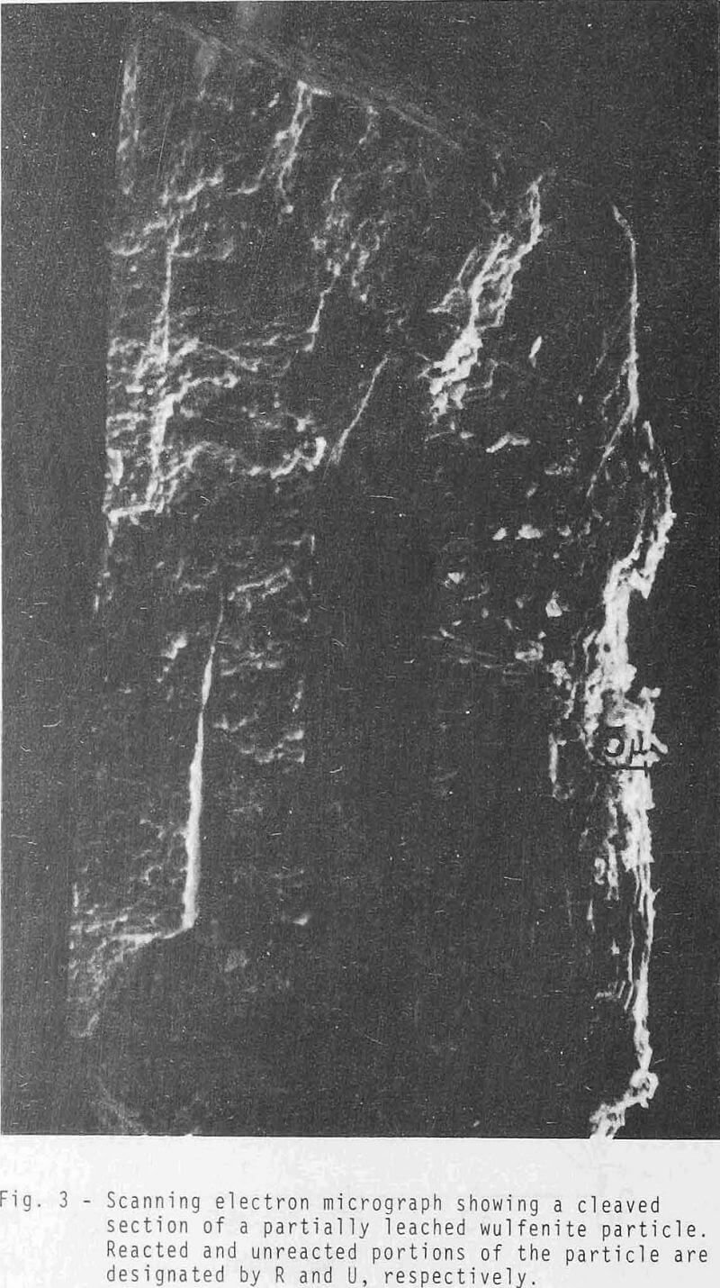 sulfide-ion-leaching eletron micrograph