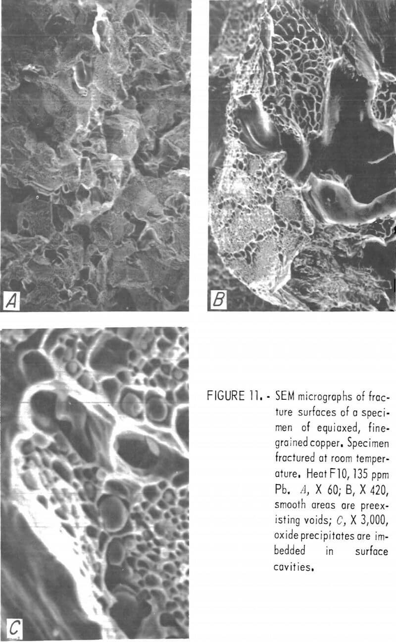 electrowon-copper sem micrographs