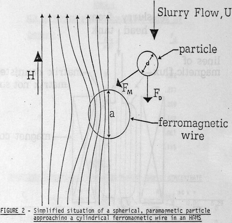 magnetic-separator paramagnetic particle