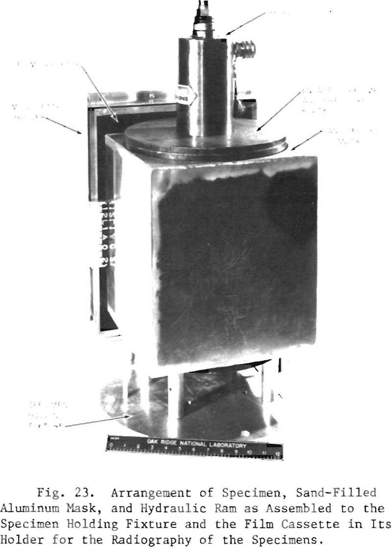 rock-specimen arrangement