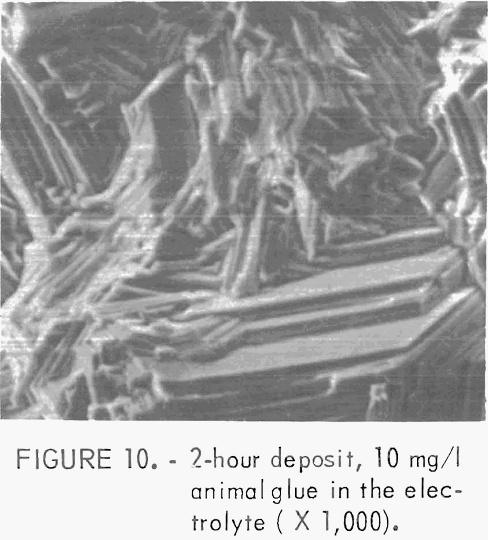 electrowinning-of-zinc animal glue