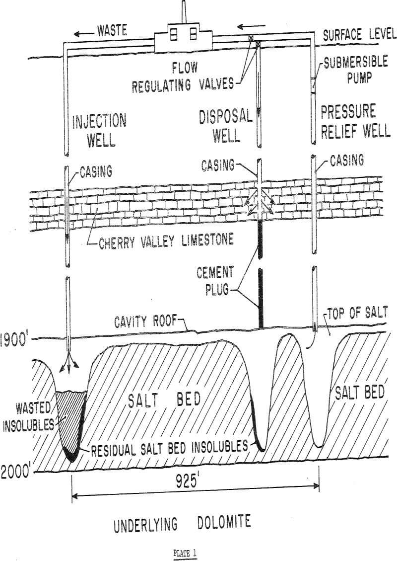 plant-waste underlying dolomite