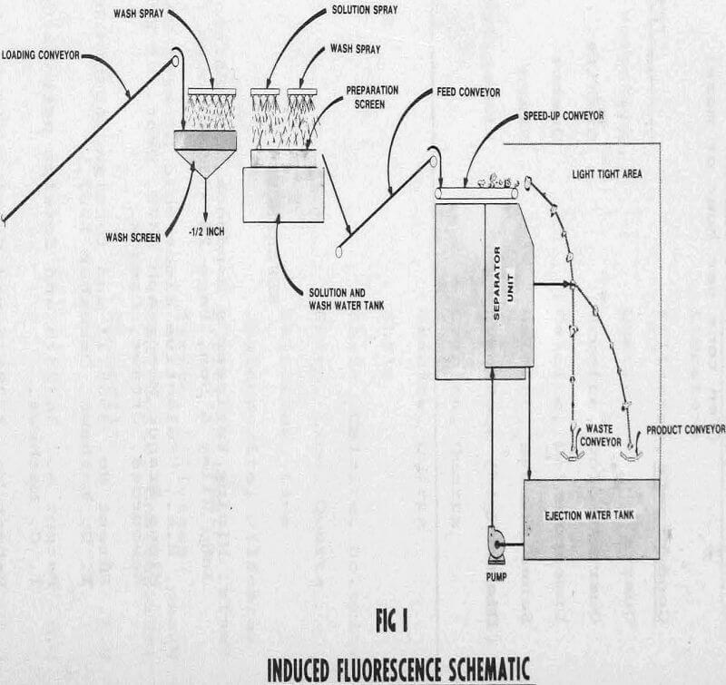 pre-concentration sorting induced fluorescence schematic