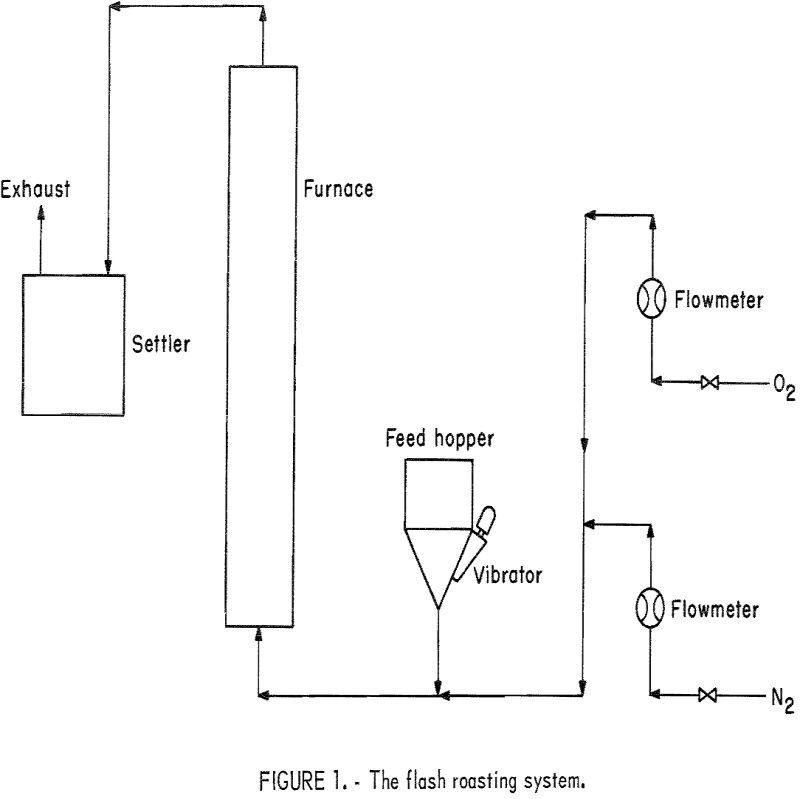 flash roasting system