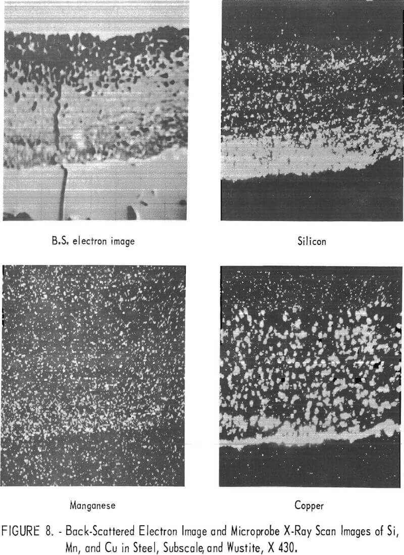 copper-bearing steel back-scattered electron image