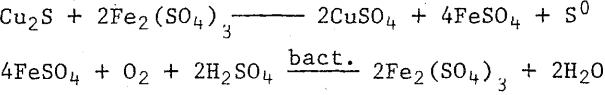 microbiological-leaching-equation