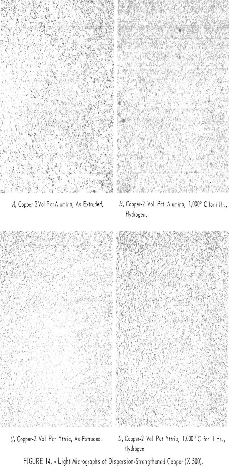 dispersion-strengthened copper light micrographs