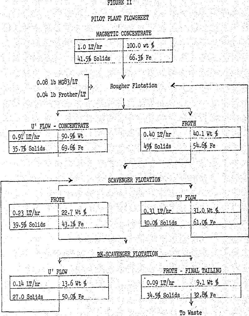 flotation pilot plant flowsheet