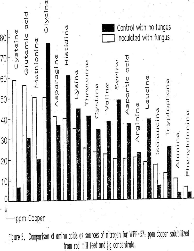 leaching of copper comparison of amino acids