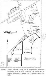 uranium tailings environmental survey