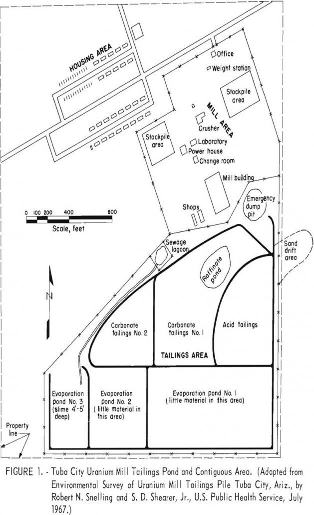 uranium tailings environmental survey