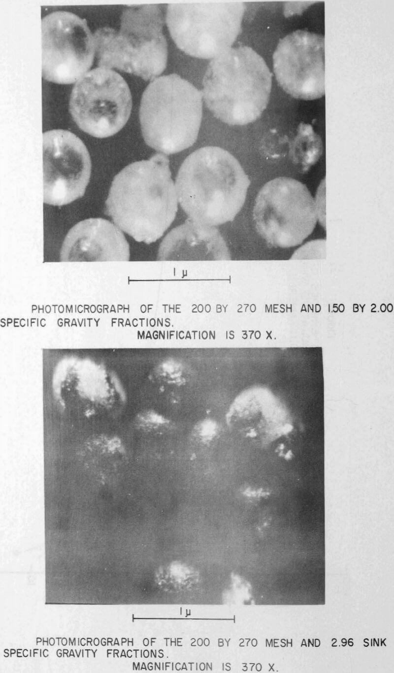 fly ash photomicrograph