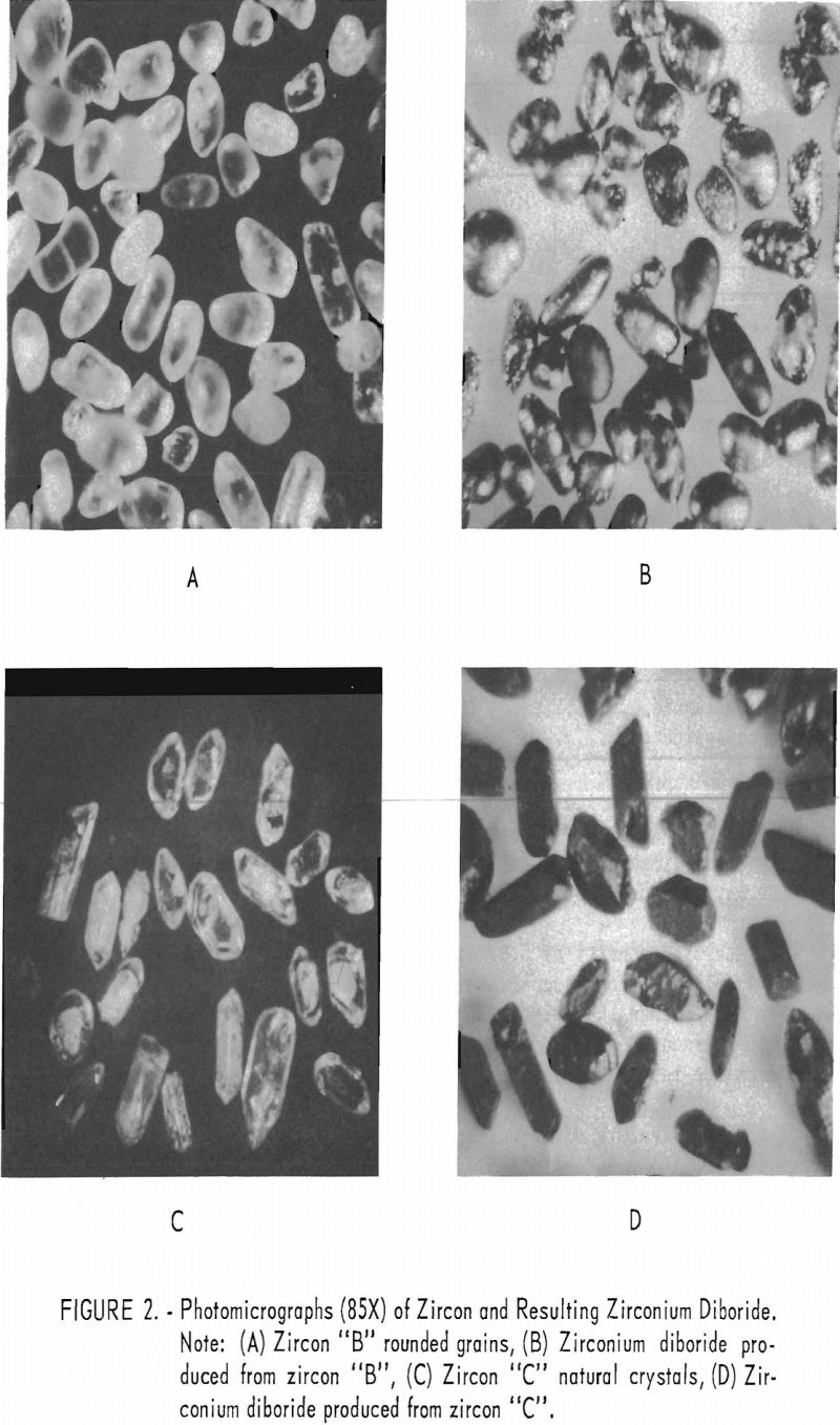 zirconium diboride photomicrographs