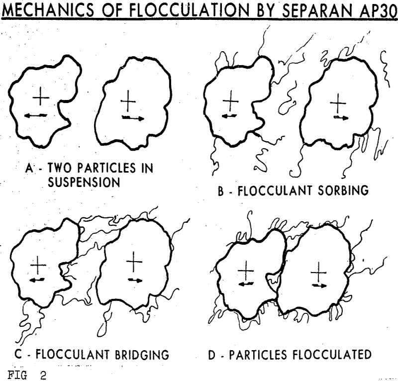 flocculation mechanics