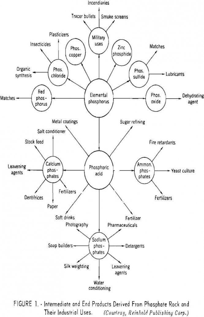 phosphate rock intermediate and end products derived