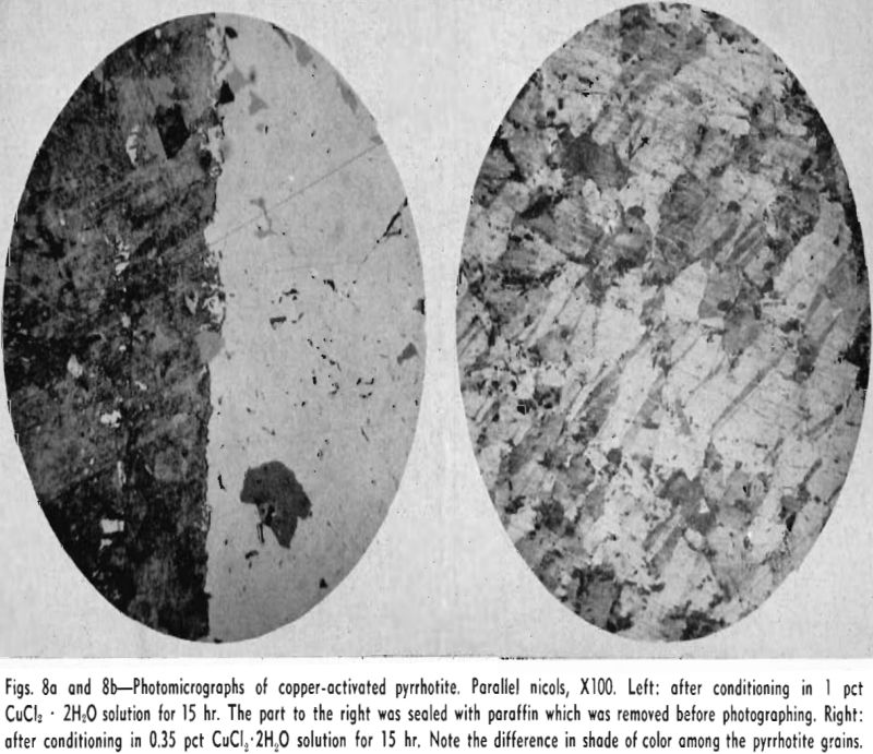 flotation photomicrographs