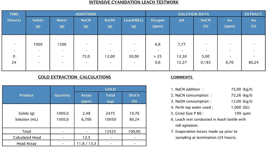 2-intensive-cyanidation-leach-testing