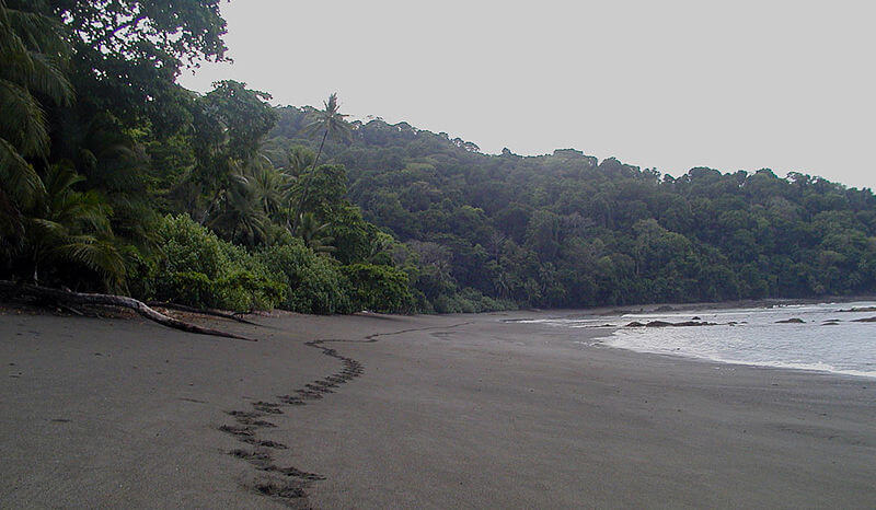 800px Corcovado Strand Nationalpark