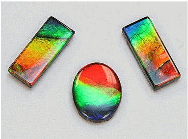 ammolite 001