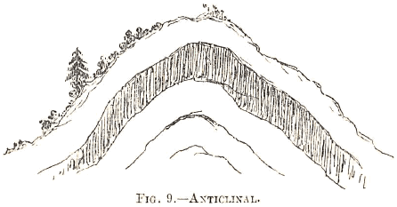 Anticlinal