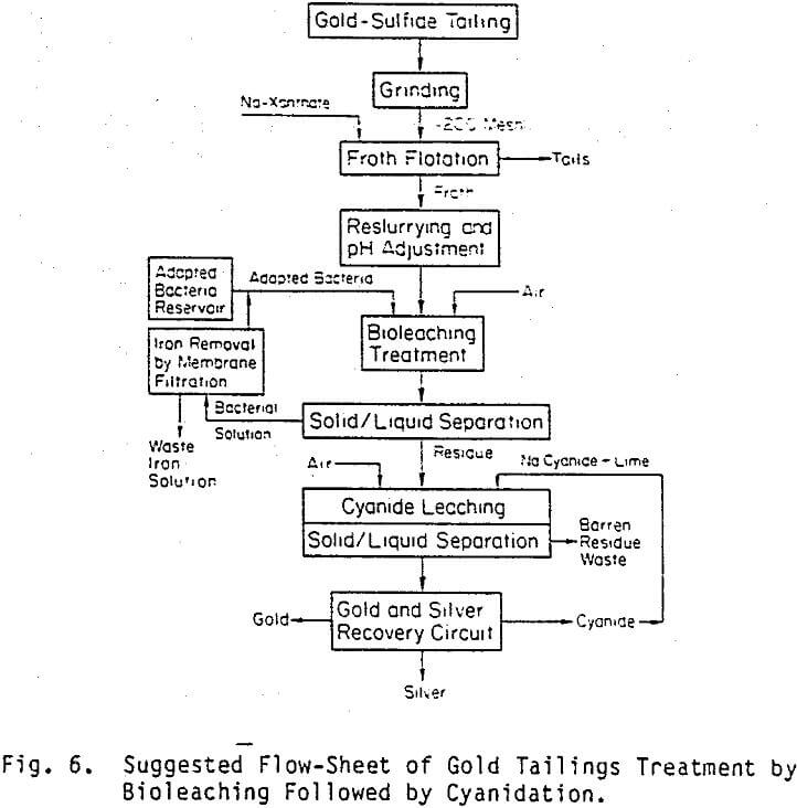 bioleaching flow-sheet