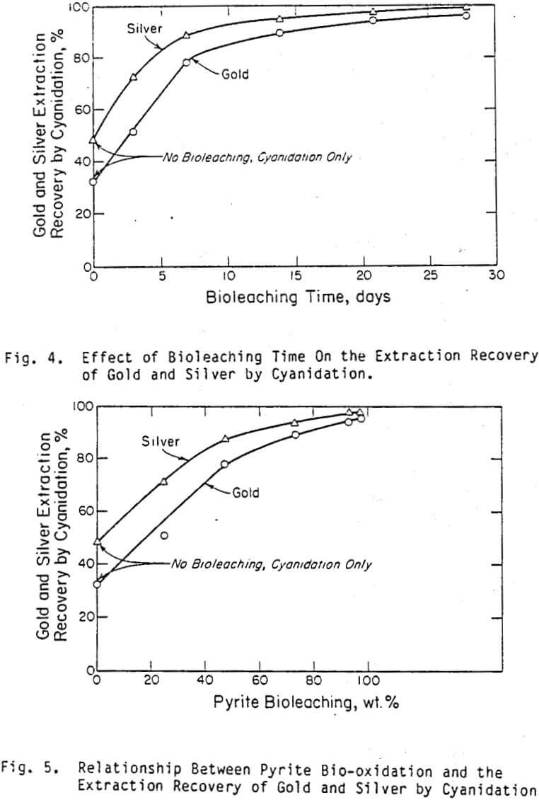 bioleaching relationship between pyrite bio-oxidation