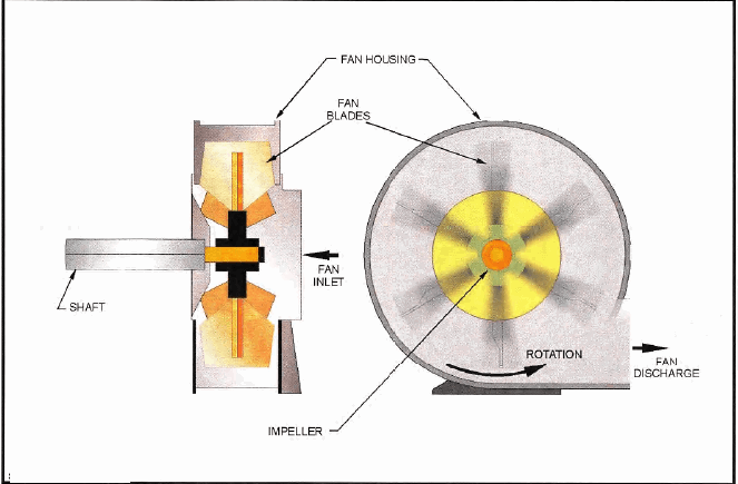 CENTRIFUGAL FAN