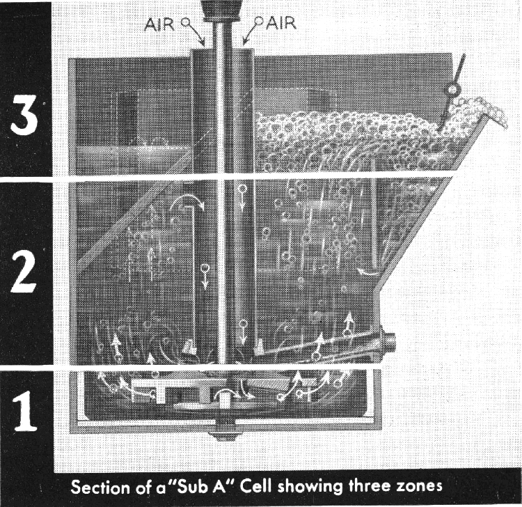 Cell A