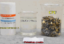 Chemical Gold Solvent Extraction