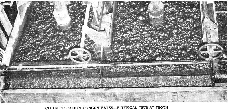 Size by Size Particle Size Distribution Profile & Flotation Recovery Results - 911Metallurgist