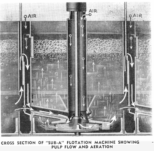 Cross Section