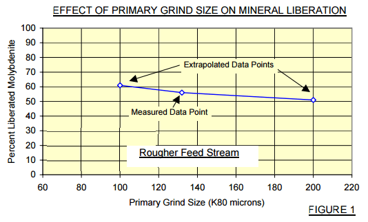 EFFECT OF PRIMARY GRIND SIZE ON MINERAL LIBERATION