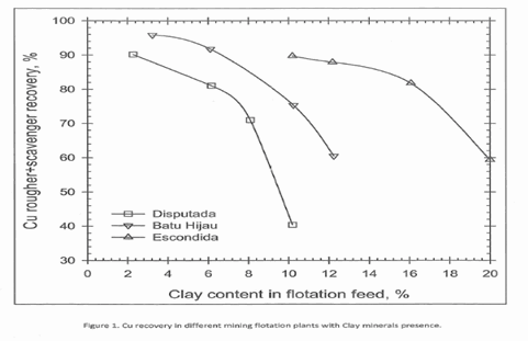 Effect of Clay on Flotation Recovery