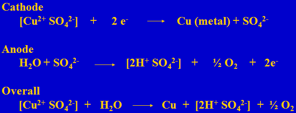 Electrowinning Reactions