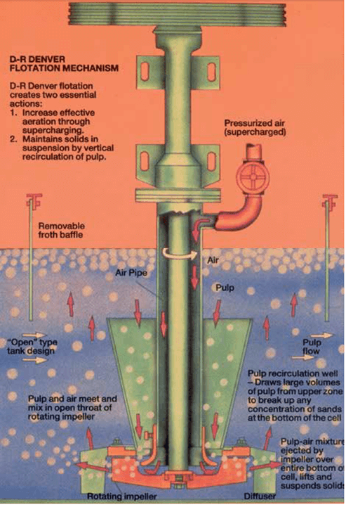 Froth Flotation Cell Agitator