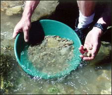 gold-panning-technique-step-1