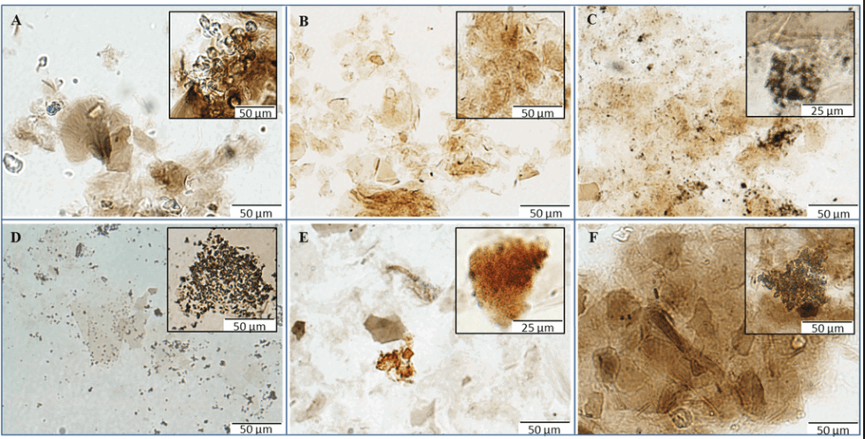 gold_oxides_001