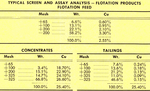 grinding-flotation-typical-screen