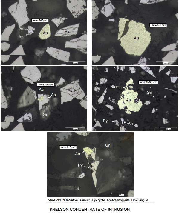 KNELSON CONCENTRATE OF INTRUSION