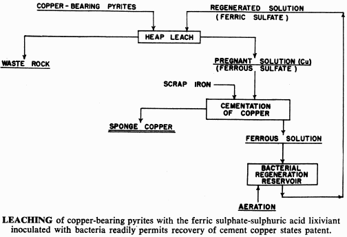 leaching-of-copper-bearing-pyrites