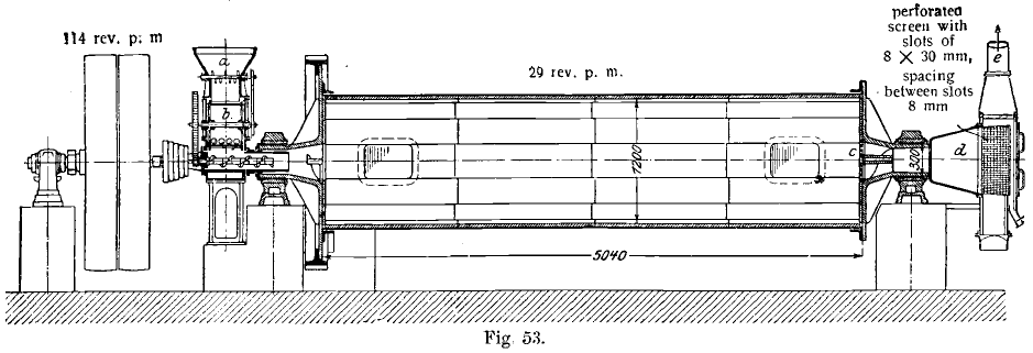 Longitudnal Section