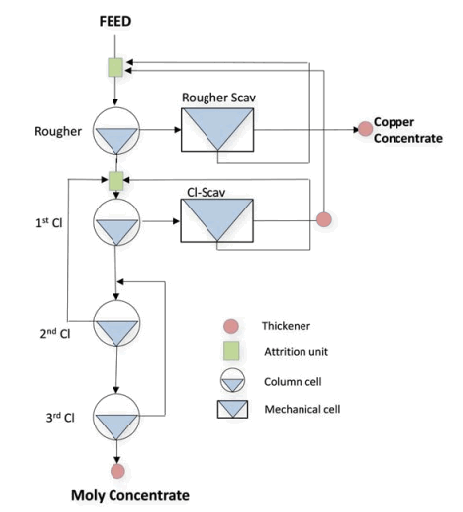 Model Example Copper Moly Seperation Circuit Flowsheet