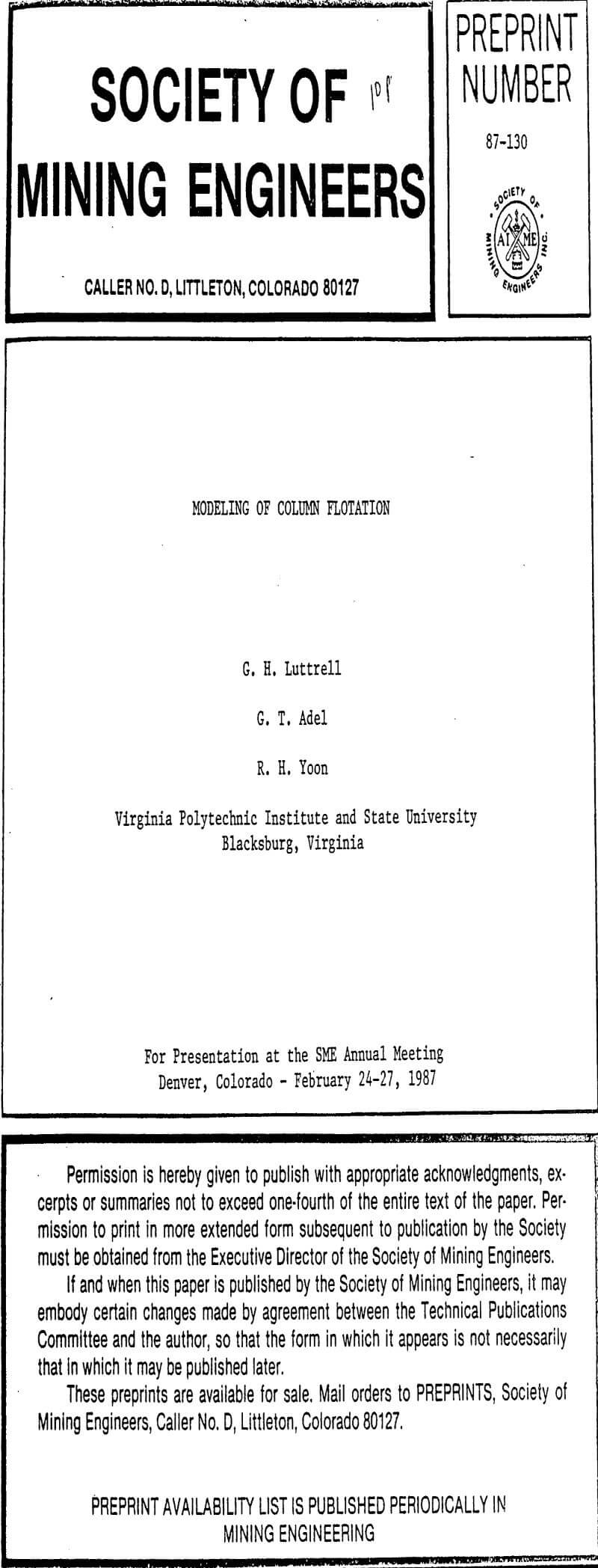 modeling of column flotation