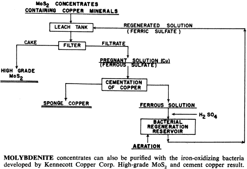 molybdenite-concentrates