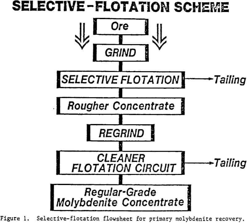 molybdenite flotation flowsheet