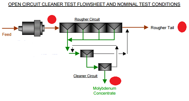 Molybdenum Flotation